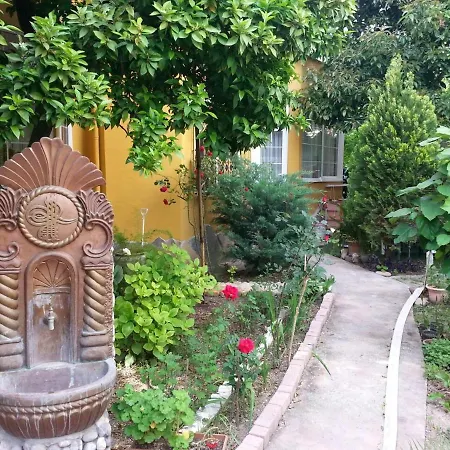 Santana ホテル ベルディビ