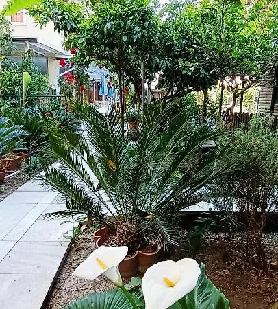 מלון Santana