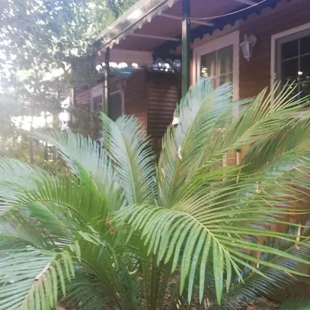 ホテル Santana ベルディビ