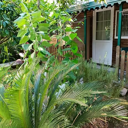 ホテル Santana ベルディビ