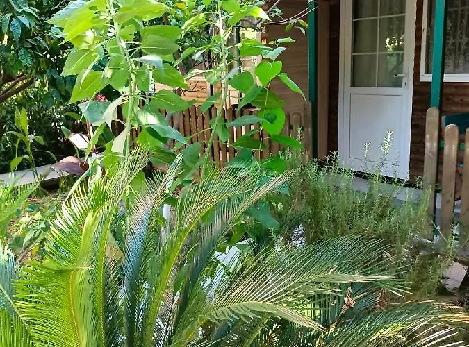 Hotel Santana Beldibi (Kemer)