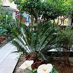 Hotel Santana