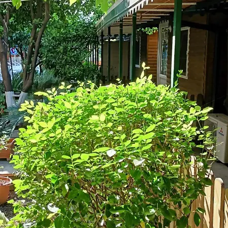Santana Hotel